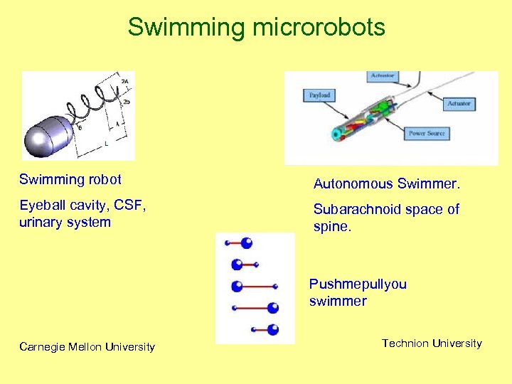 Swimming microrobots Swimming robot Autonomous Swimmer. Eyeball cavity, CSF, urinary system Subarachnoid space of