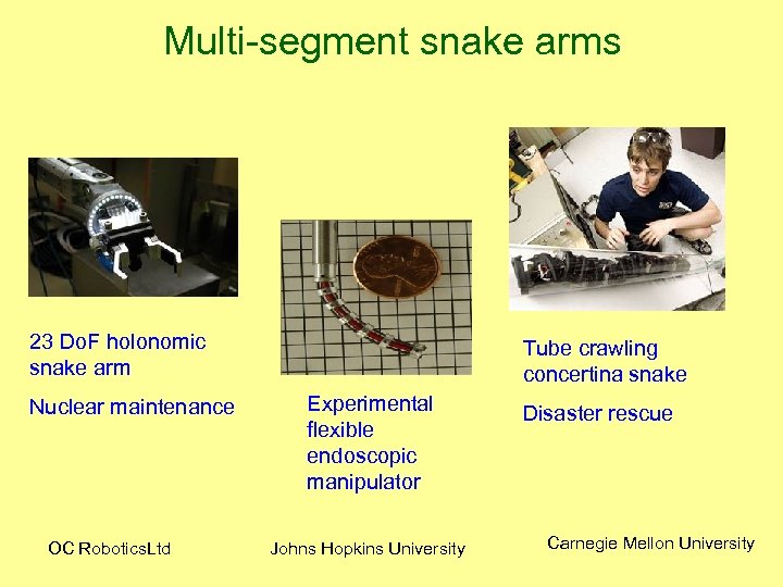 Multi-segment snake arms 23 Do. F holonomic snake arm Nuclear maintenance OC Robotics. Ltd