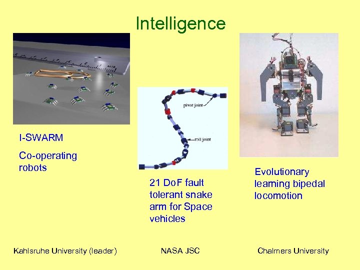 Intelligence I-SWARM Co-operating robots 21 Do. F fault tolerant snake arm for Space vehicles