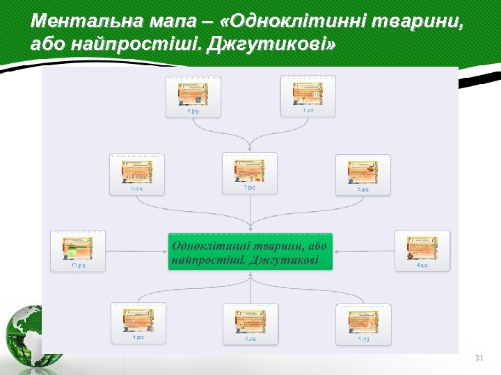 Ментальна мапа – «Одноклітинні тварини, або найпростіші. Джгутикові» 21 
