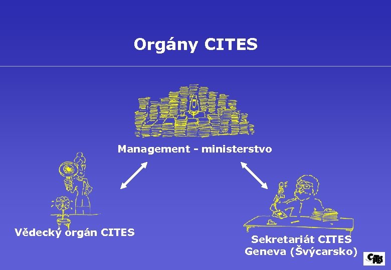 Orgány CITES Management - ministerstvo Vědecký orgán CITES Sekretariát CITES Geneva (Švýcarsko) 