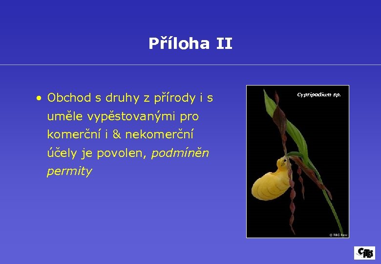 Příloha II • Obchod s druhy z přírody i s uměle vypěstovanými pro komerční