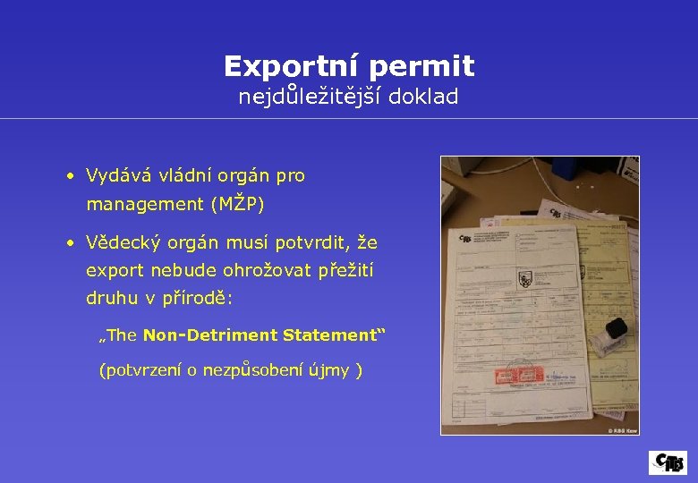 Exportní permit nejdůležitější doklad • Vydává vládní orgán pro management (MŽP) • Vědecký orgán