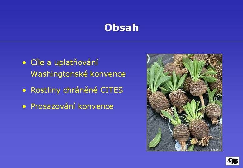 Obsah • Cíle a uplatňování Washingtonské konvence • Rostliny chráněné CITES • Prosazování konvence