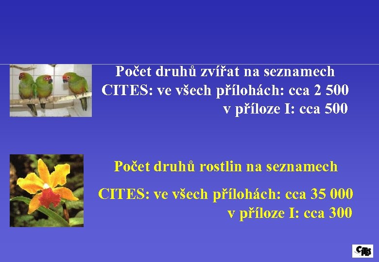 Počet druhů zvířat na seznamech CITES: ve všech přílohách: cca 2 500 v příloze