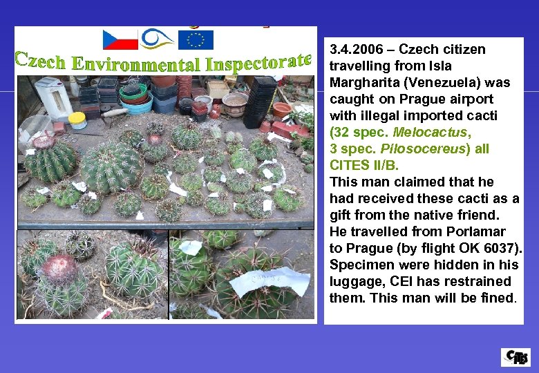 3. 4. 2006 – Czech citizen travelling from Isla Margharita (Venezuela) was caught on