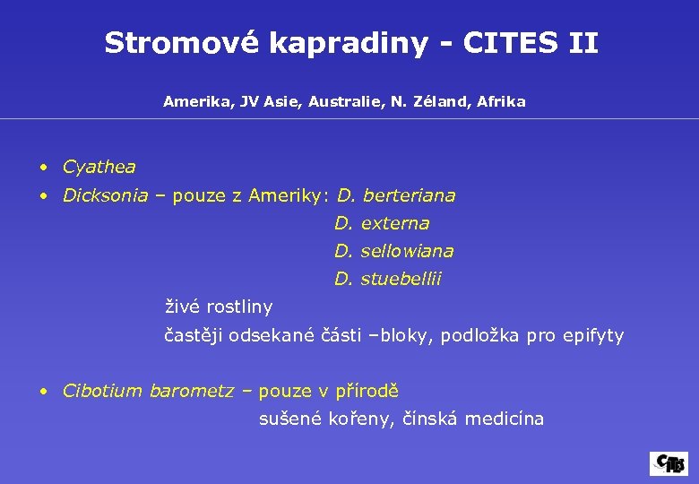Stromové kapradiny - CITES II Amerika, JV Asie, Australie, N. Zéland, Afrika • Cyathea