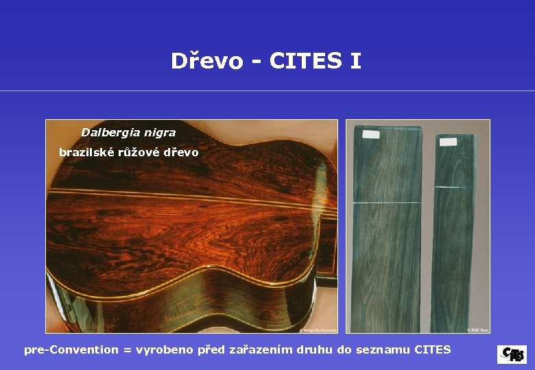 Dřevo - CITES I Dalbergia nigra brazilské růžové dřevo pre-Convention = vyrobeno před zařazením
