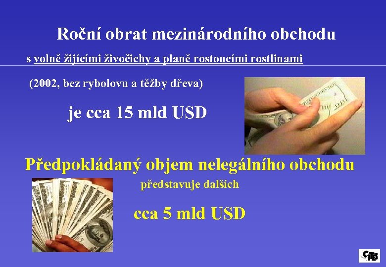 Roční obrat mezinárodního obchodu s volně žijícími živočichy a planě rostoucími rostlinami (2002, bez