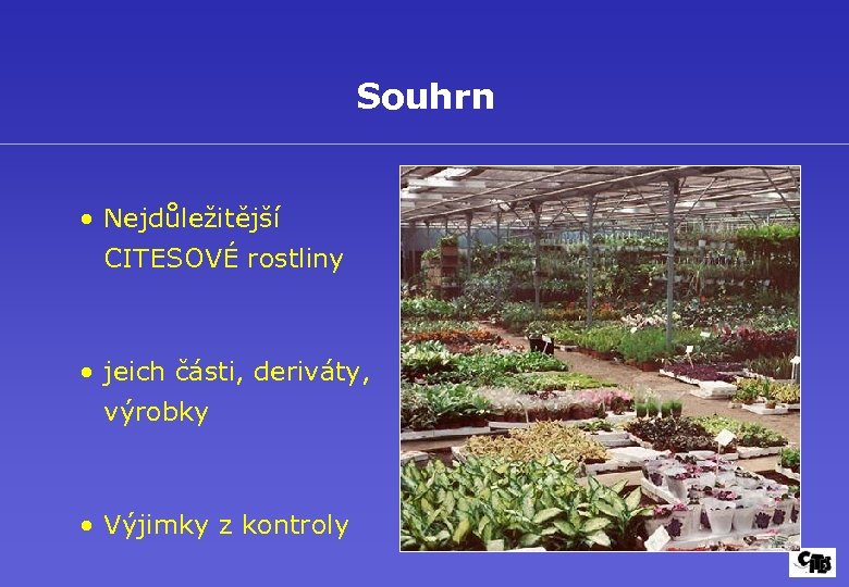 Souhrn • Nejdůležitější CITESOVÉ rostliny • jeich části, deriváty, výrobky • Výjimky z kontroly