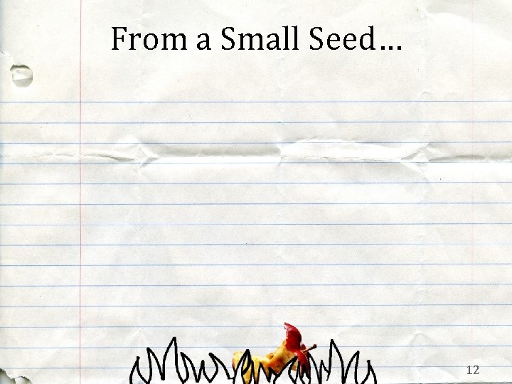 From a Small Seed… 12 
