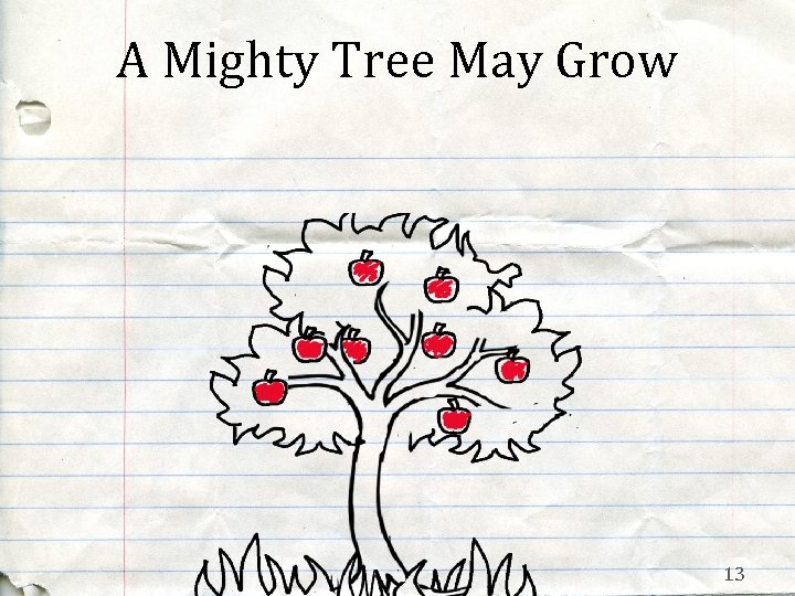 A Mighty Tree May Grow 13 