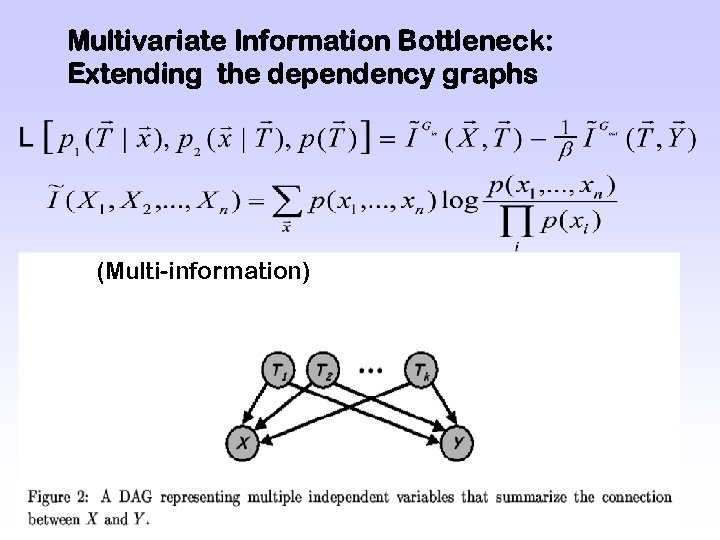 Multivariate Information Bottleneck: Extending the dependency graphs (Multi-information) 