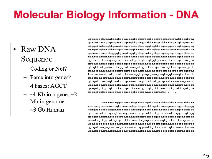 Molecular Biology Information - DNA • Raw DNA Sequence – – Coding or Not?