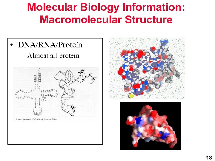 Molecular Biology Information: Macromolecular Structure • DNA/RNA/Protein – Almost all protein 18 
