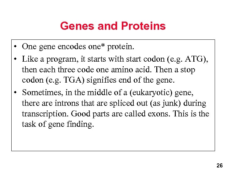 Genes and Proteins • One gene encodes one* protein. • Like a program, it