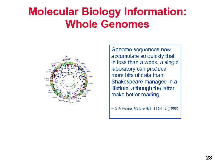 Molecular Biology Information: Whole Genomes Genome sequences now accumulate so quickly that, in less