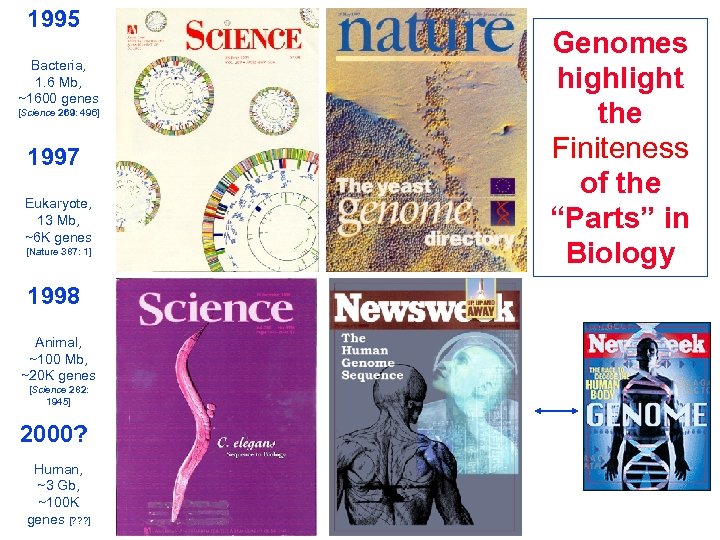 1995 Bacteria, 1. 6 Mb, ~1600 genes [Science 269: 496] 1997 Eukaryote, 13 Mb,