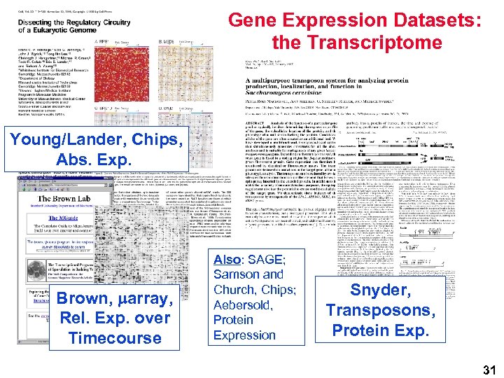 Gene Expression Datasets: the Transcriptome Young/Lander, Chips, Abs. Exp. Brown, marray, Rel. Exp. over