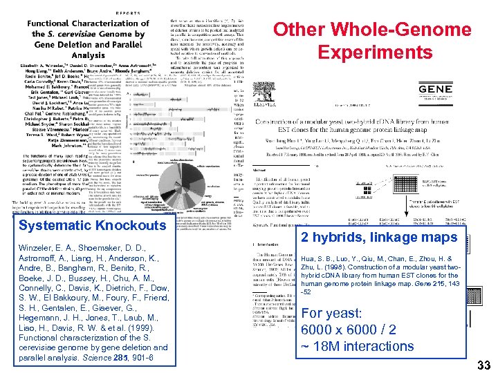 Other Whole-Genome Experiments Systematic Knockouts Winzeler, E. A. , Shoemaker, D. D. , Astromoff,