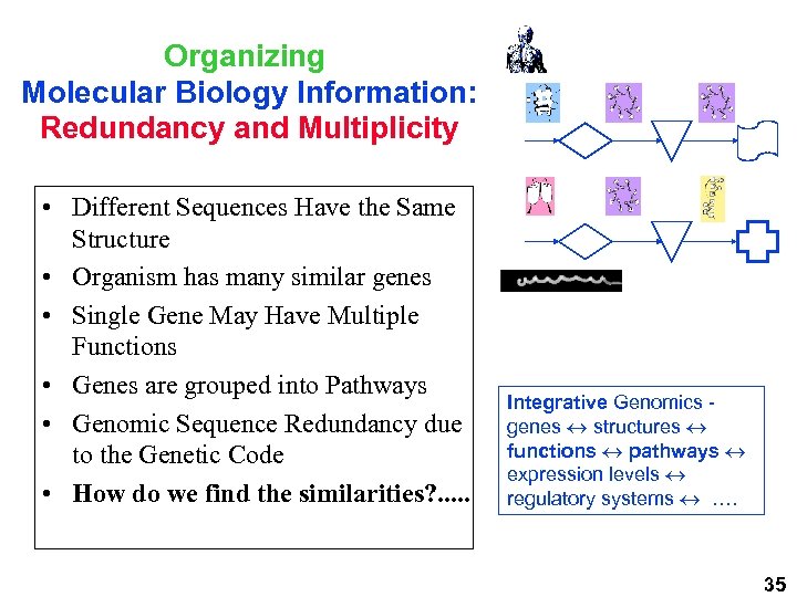 Organizing Molecular Biology Information: Redundancy and Multiplicity • Different Sequences Have the Same Structure