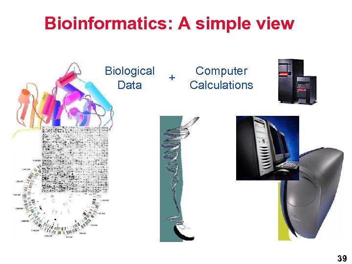 Bioinformatics: A simple view Biological Data + Computer Calculations 39 