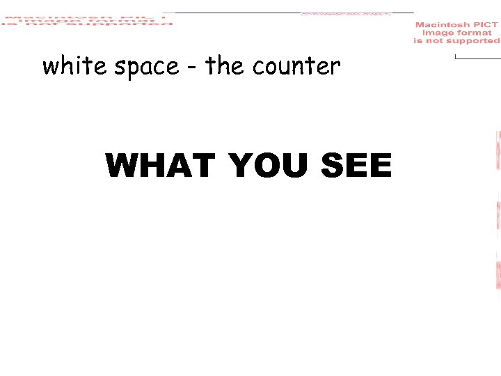 white space - the counter WHAT YOU SEE 