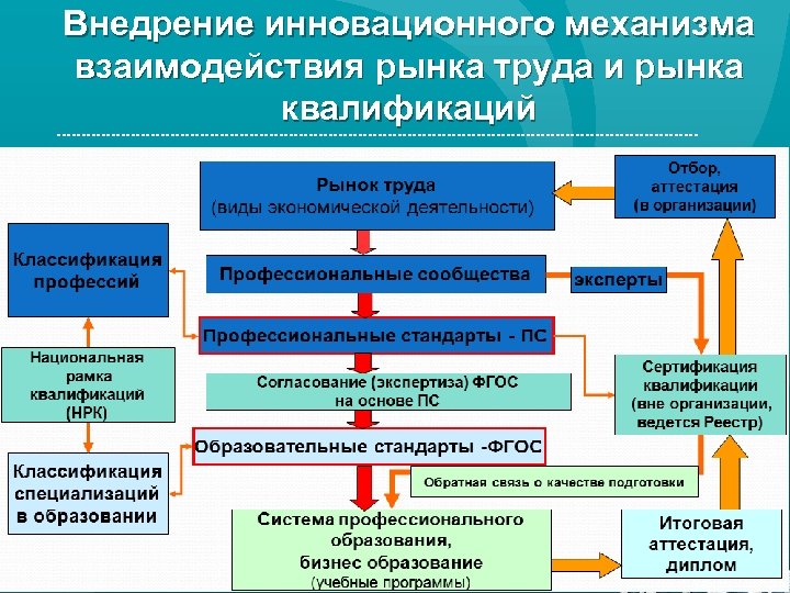 Внедрение инновационного механизма взаимодействия рынка труда и рынка квалификаций 