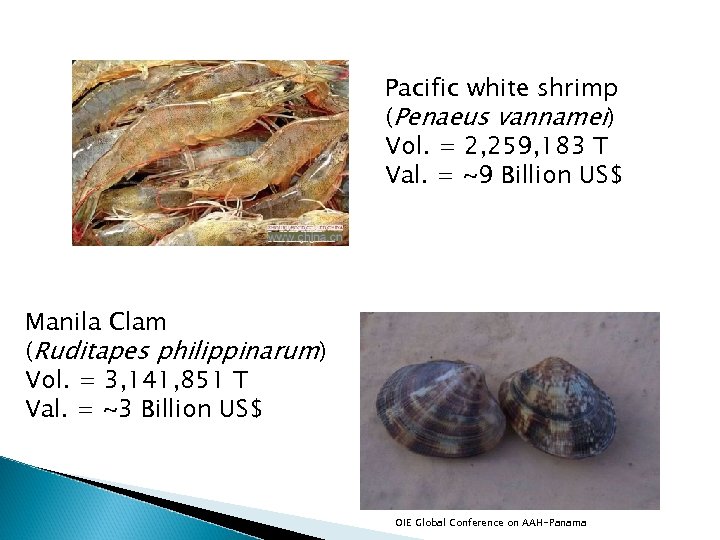 Pacific white shrimp (Penaeus vannamei) Vol. = 2, 259, 183 T Val. = ~9