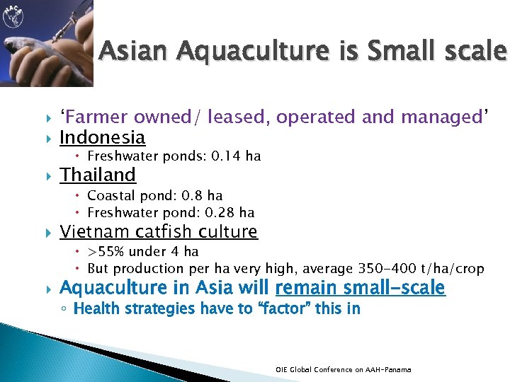 Asian Aquaculture is Small scale ‘Farmer owned/ leased, operated and managed’ Indonesia Thailand Freshwater