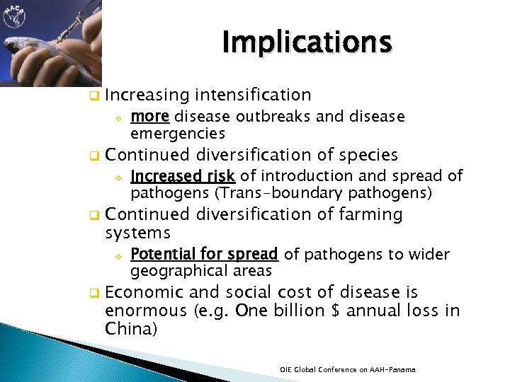 Implications q Increasing intensification v q Continued diversification of species v q Increased risk