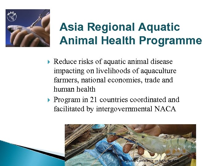 Asia Regional Aquatic Animal Health Programme Reduce risks of aquatic animal disease impacting on