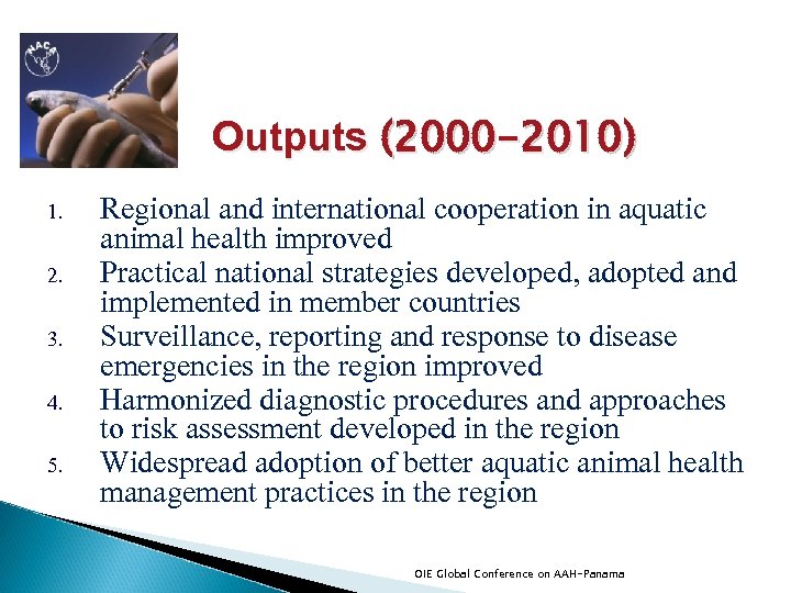Outputs (2000 -2010) 1. 2. 3. 4. 5. Regional and international cooperation in aquatic