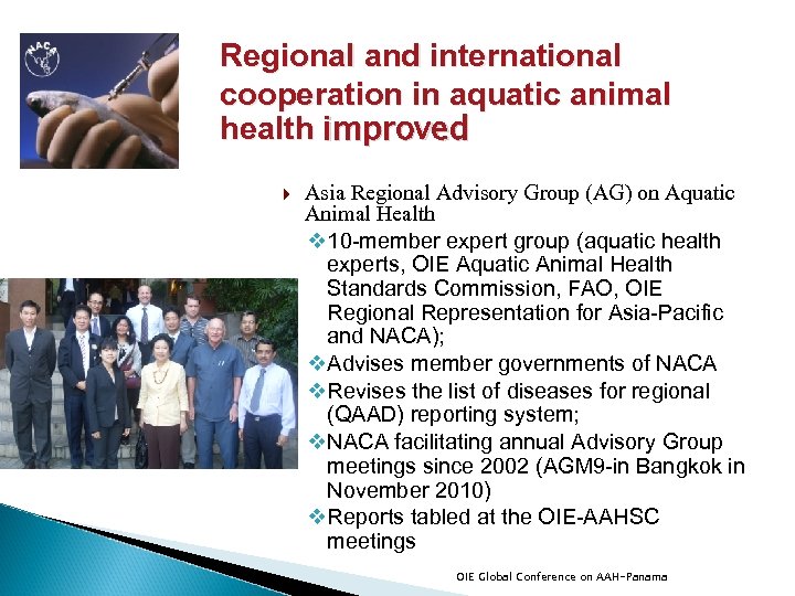 Regional and international cooperation in aquatic animal health improved Asia Regional Advisory Group (AG)