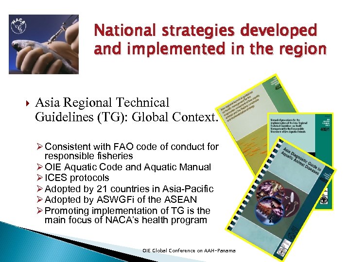 National strategies developed and implemented in the region Asia Regional Technical Guidelines (TG): Global