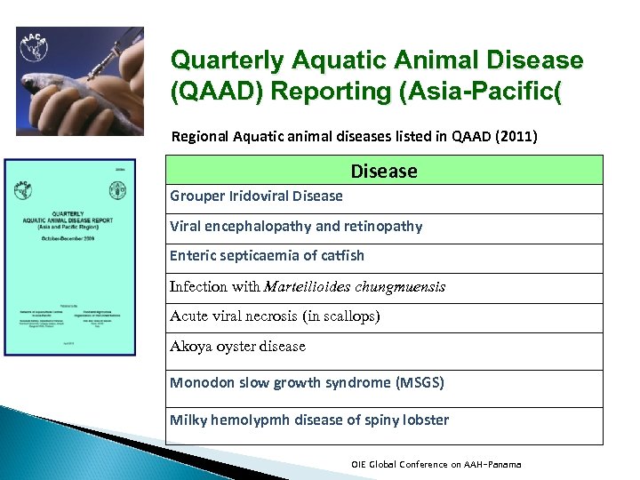 Quarterly Aquatic Animal Disease (QAAD) Reporting (Asia-Pacific( Regional Aquatic animal diseases listed in QAAD