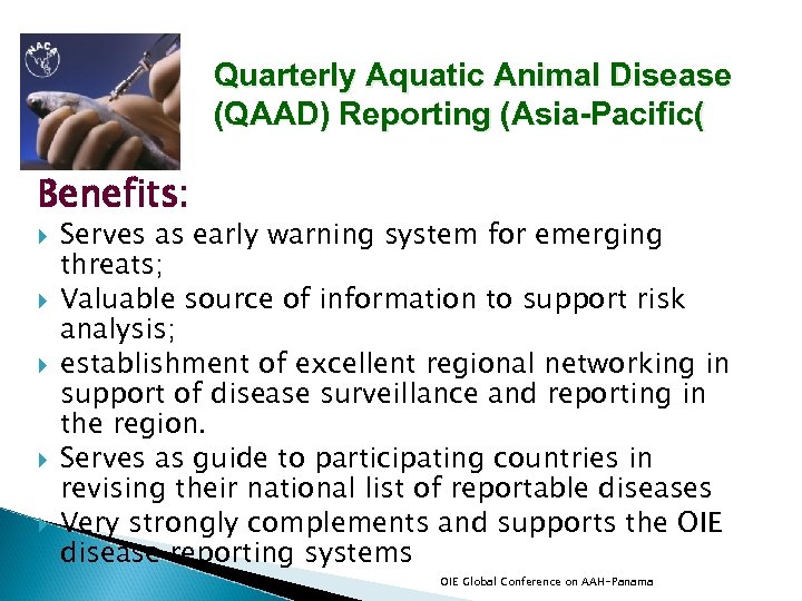 Quarterly Aquatic Animal Disease (QAAD) Reporting (Asia-Pacific( Benefits: Serves as early warning system for