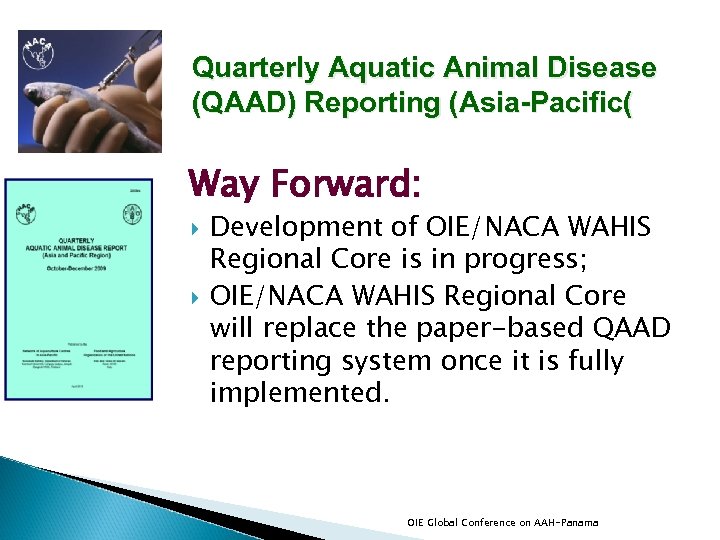 Quarterly Aquatic Animal Disease (QAAD) Reporting (Asia-Pacific( Way Forward: Development of OIE/NACA WAHIS Regional