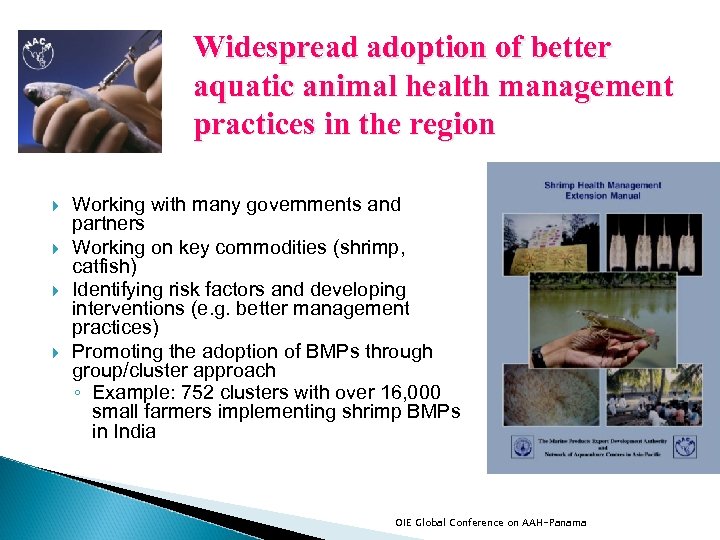 Widespread adoption of better aquatic animal health management practices in the region Working with