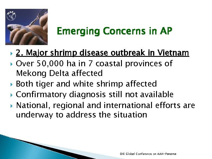 Emerging Concerns in AP 2. Major shrimp disease outbreak in Vietnam Over 50, 000