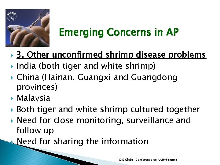 Emerging Concerns in AP 3. Other unconfirmed shrimp disease problems India (both tiger and