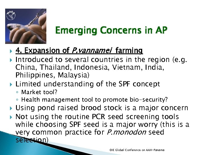 Emerging Concerns in AP 4. Expansion of P. vannamei farming Introduced to several countries