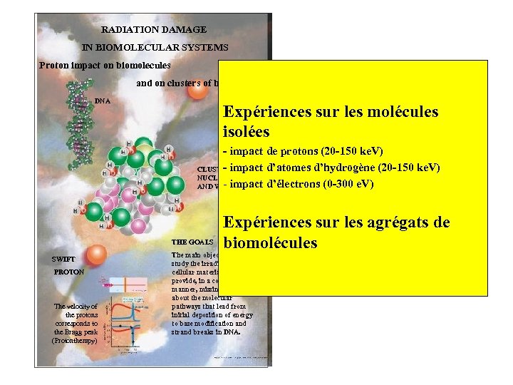RADIATION DAMAGE IN BIOMOLECULAR SYSTEMS Proton impact on biomolecules and on clusters of biomolecules
