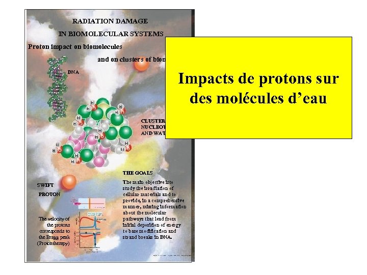 RADIATION DAMAGE IN BIOMOLECULAR SYSTEMS Proton impact on biomolecules and on clusters of biomolecules