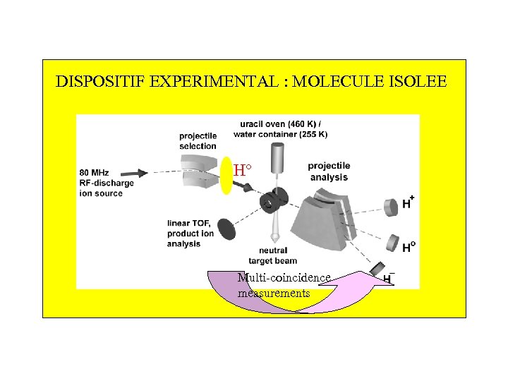 DISPOSITIF EXPERIMENTAL : MOLECULE ISOLEE H° Multi-coincidence measurements 