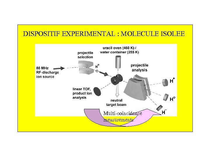 DISPOSITIF EXPERIMENTAL : MOLECULE ISOLEE Multi-coincidence measurements 
