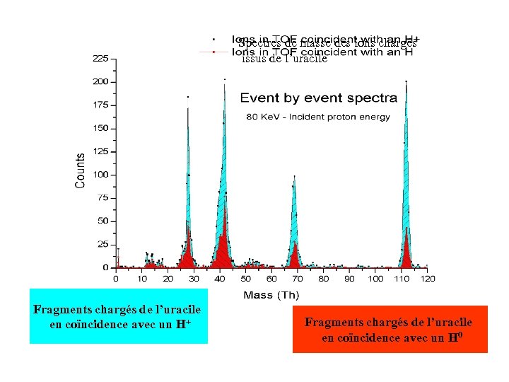 Spectres de masse des ions chargés issus de l’uracile Fragments chargés de l’uracile en
