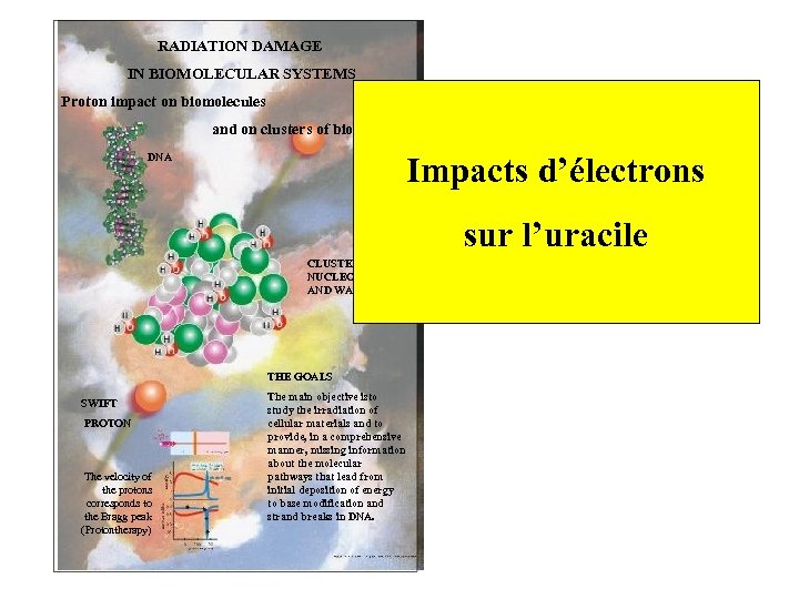 RADIATION DAMAGE IN BIOMOLECULAR SYSTEMS Proton impact on biomolecules and on clusters of biomolecules