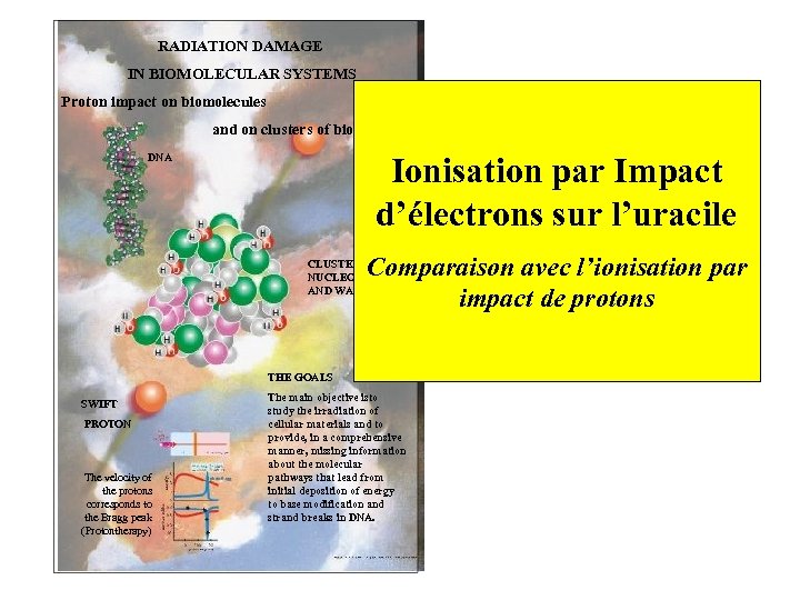 RADIATION DAMAGE IN BIOMOLECULAR SYSTEMS Proton impact on biomolecules and on clusters of biomolecules