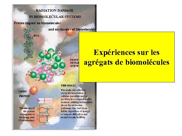 RADIATION DAMAGE IN BIOMOLECULAR SYSTEMS Proton impact on biomolecules and on clusters of biomolecules